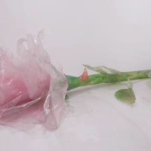 Meet your Posher, Joyce